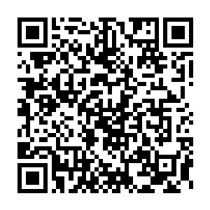 我们在外面和韩医高手进行友谊性切磋的队员再次遭到暴徒的攻击二维码生成