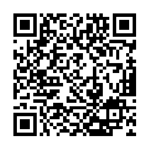 我们在座的诸位都将为了我们的政治理想而共同奋斗二维码生成