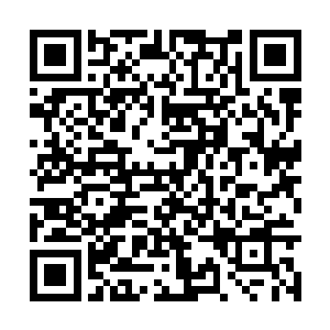 我们在星界那边能用上的精锐也就是留仙派的仙家二维码生成