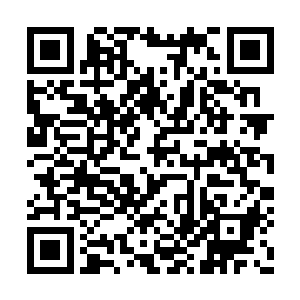 我们在湖州的很多事都要仰仗这个地头蛇帮忙呢二维码生成