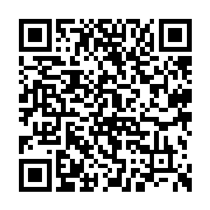 我们在这个口腔之中并没有出现摇晃之类的事情二维码生成