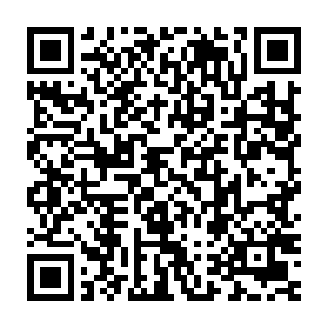 我们域外魂武和你们域内魂武就共同前往宝贝出现的地方进行抢夺二维码生成