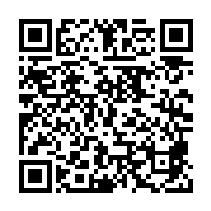 我们外交部门又不归你们情治部门管辖范围之内二维码生成