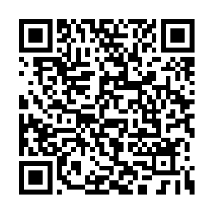 我们大罗天在神机宗应该有着潜伏很深的探子吧二维码生成