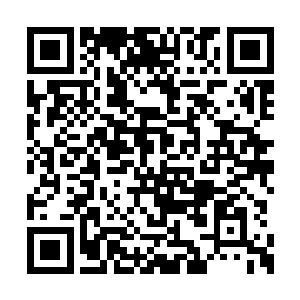 我们好几次都忍不住要撕毁多因果兵器协议打去二维码生成