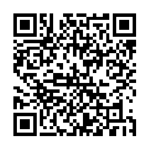 我们姨娘不过觉得你是夫人的嬷嬷高看你一眼才对你行礼的二维码生成
