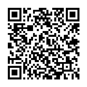 我们学校跟巴黎夜语的老板达成了一个合作协议二维码生成