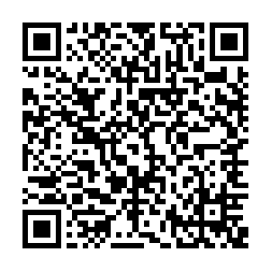 我们学校里上上下下很少会见到年轻漂亮的女孩子……尤其是像叶小姐这种美人二维码生成