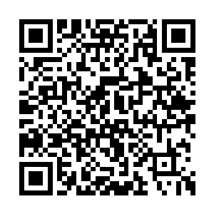 我们守护家族的典籍内怎么会沒有一丁点的记载二维码生成