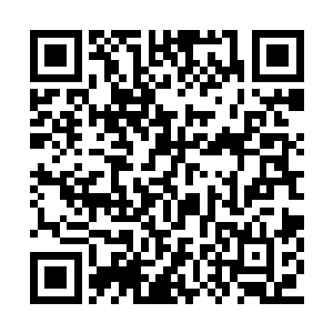 我们宗门最有价值的七种灵蝶・还是你找回来的二维码生成
