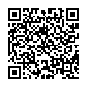 我们家为何不会下死力培养自家女子琴棋书画谋略了吧二维码生成