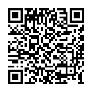 我们家族少爷和老爷正在里面和云天邪商谈要事二维码生成