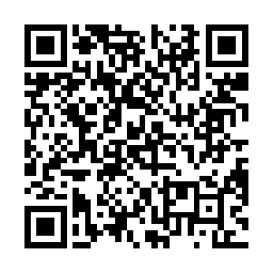 我们家的蘭宝宝是真的因为小白太过萌蠢才留下的……二维码生成
