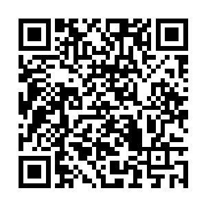 我们家里面对于这个事情倒是没有太多的反对意见二维码生成