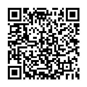 我们寒仙山本来想要推举云星坠云师侄来参赛的二维码生成