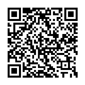 我们对于当永生不死的缩头乌龟也没有半点兴趣二维码生成