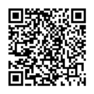 我们对能量的感应可比你们什么所谓的机器敏感的多的多二维码生成