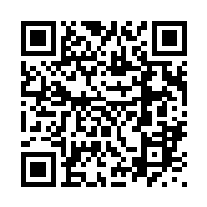 我们对魏腾的行动本来就见不得光二维码生成