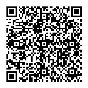 我们将和恐怖主义斗争到底……法国人民永远不会在恐怖袭击面前屈服……我们感谢我们来自中国的朋友二维码生成