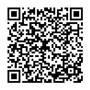 我们将整个文明最尖端的专家学者和前沿领域研究员都吸纳到了仙宫之中二维码生成