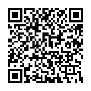 我们就在这鼎内世界内联手和域外天魔战上一场二维码生成