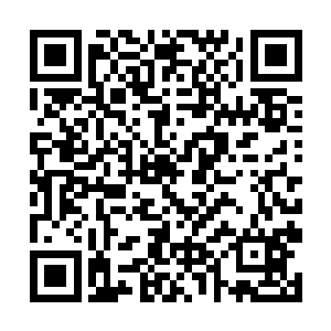 我们就能让杨家真正的成为这个世界上的超级大家族二维码生成