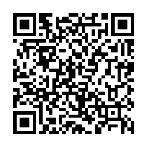 我们就要在江州的大部分地区实行麦套稻的生产实践二维码生成