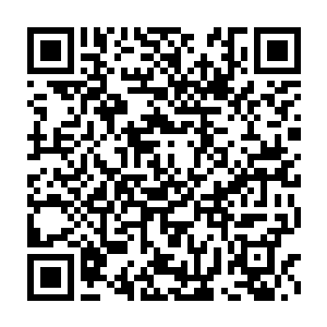 我们岂敢如此……只不过掌门师弟确实有些事情做得其他师弟师妹不满二维码生成