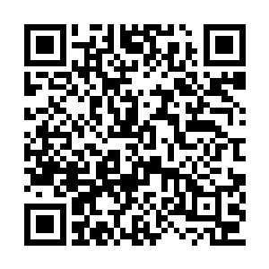 我们岂能让他跟随在一名人族晚辈身边沦为人宠二维码生成