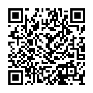 我们已经为你量身打造出了一套符合你的节目了二维码生成