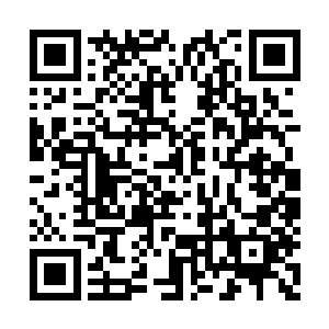 我们已经发现外围有不少强力者正往图书馆赶来二维码生成