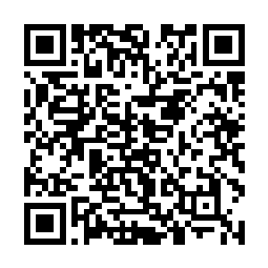 我们已经在青蛙的配合下整理出一套改进后的格斗术二维码生成