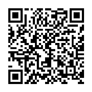 我们已经将琼纳斯男爵夫妇与其它庄园仆役都迁移到了王都……二维码生成