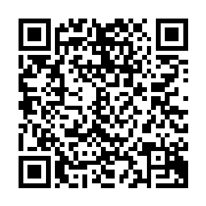 我们已经带着你在千叶之森里绕了好几圈了――冒着天大的风险二维码生成