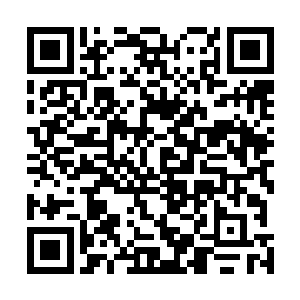 我们已经沒有四大超越圣帝的绝世强者和诸多圣帝强者了二维码生成