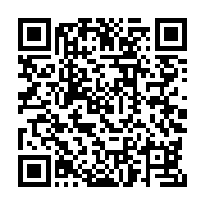 我们已经询问了机长还有飞机上的其他机组人员二维码生成