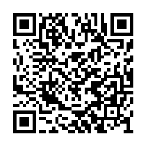 我们布拉泽佣兵团只是有一支小分队参与了作战二维码生成