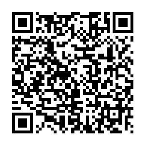 我们帮会正需要你这种高智慧型人才你就跟着我们火鸟堂好好干吧二维码生成
