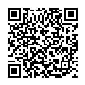 我们开启上古遗迹只是在恢复苍茫大陆上的灵气浓度二维码生成