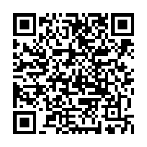 我们当时的先祖不得以将它献给了当时的大魔王二维码生成