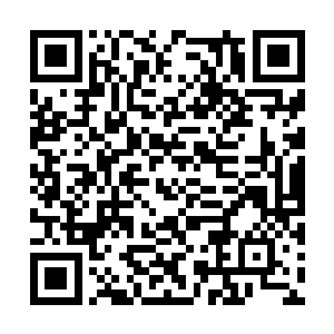 我们影月负责在东瀛那边做任务的杀手团全军覆没二维码生成