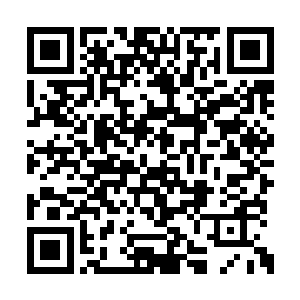 我们徐家在东南区也有一支万人规模的商团护卫二维码生成