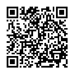 我们得先翻过六座山头才能绕到紫盖峰的西面去二维码生成