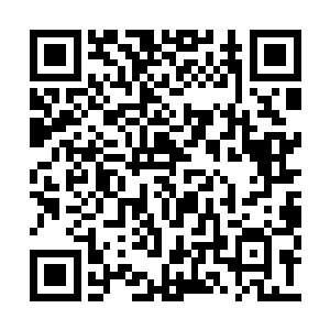 我们必须更凑近一些去窥探金晶塔的秘密……咦二维码生成