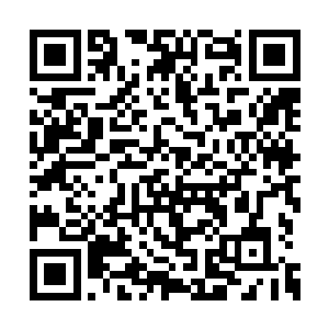 我们必须要趁着这个时机找到其他幸存的参赛者二维码生成