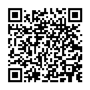 我们怎么可以允许这样的无耻败类和我们一起会诊呢二维码生成