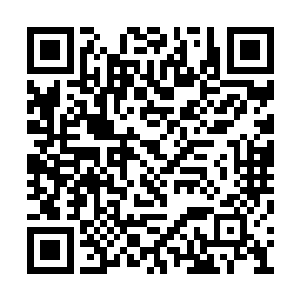 我们怎么向朱雀中学的两百三十二位教职工交代二维码生成