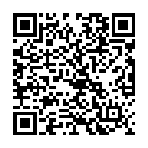 我们思尔公司自己用五十万信用点拍下自己公司的首饰二维码生成