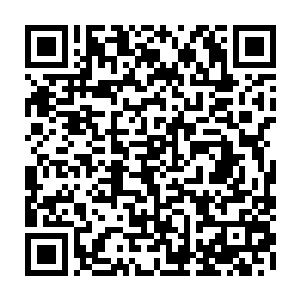 我们总算还多知道白公子曾在在下界翻云覆雨近万年岁月这件事……我想二维码生成