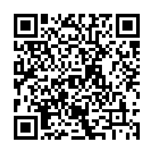 我们情报等相关部门在面对恐怖威胁时缺乏想象力二维码生成